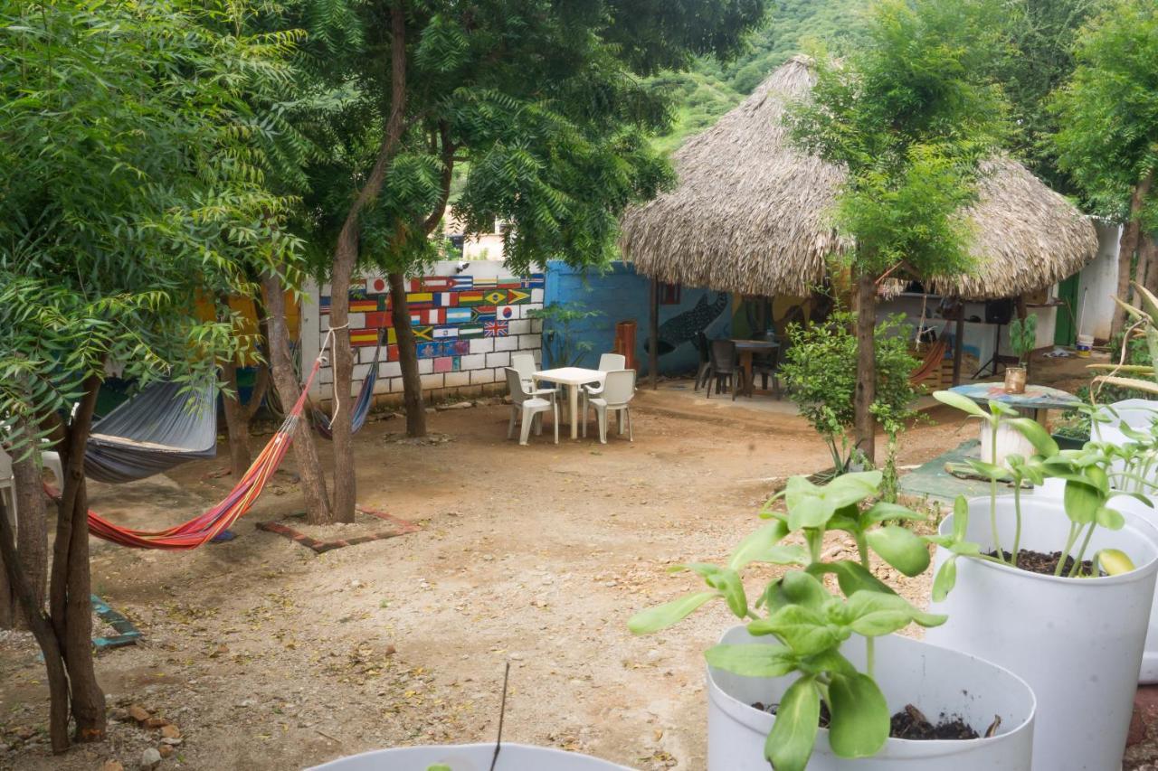 Hostel Hipilandia Taganga Exteriör bild