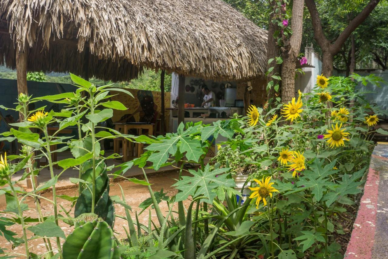 Hostel Hipilandia Taganga Exteriör bild